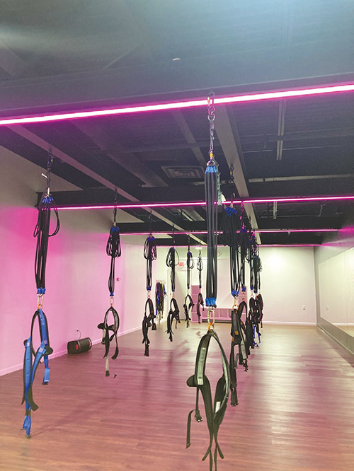 Sky Arts Studio takes your workout routine to new heights with bungee  fitness - WSVN 7News, Miami News, Weather, Sports